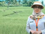 Kepala Dinas Pertanian Kabupaten Sukabumi Sri Hastuty Harahap